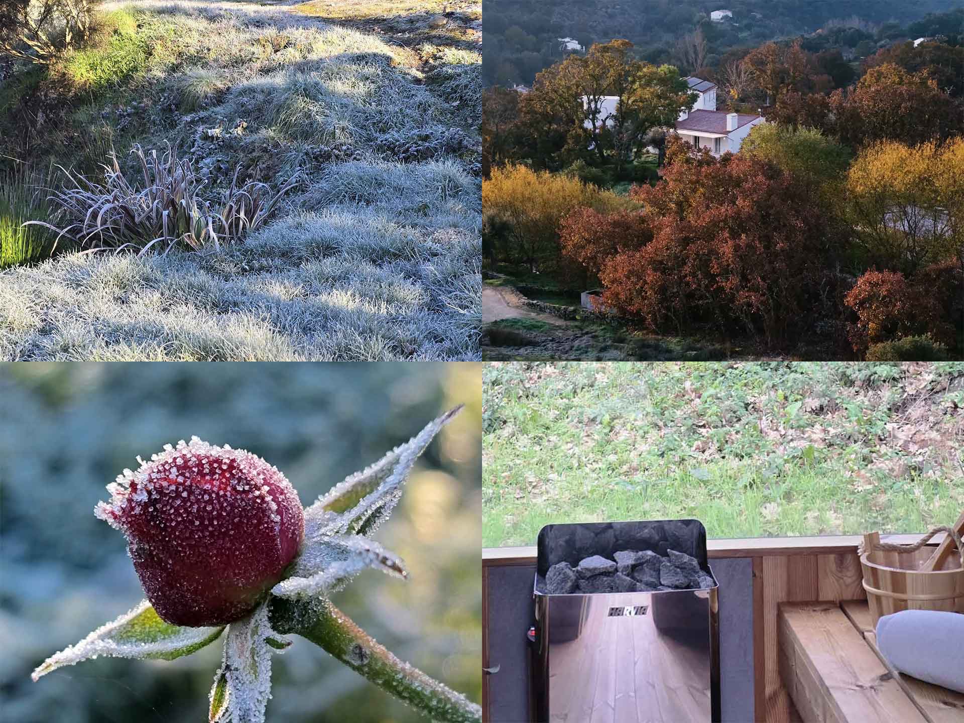 Wild Sauna in A Sociedade Rural